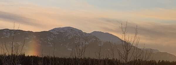 Barraco.rosa@gmail.com